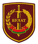 Нарукавный знак-эмблема клуба &laquo;Булат&raquo;